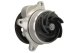 d1g060tt Thermotec Помпа