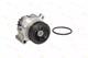 D1W054TT Thermotec Помпа