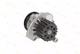 D1W054TT Thermotec Помпа