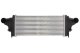 DAM029TT Thermotec Интеркулер