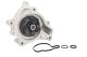D1W061TT Thermotec Помпа