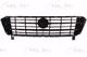 6502072098990P BLIC Решітка радіатора на Fiat Ducato