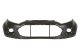 5510002588900P BLIC Бампер на Ford EcoSport