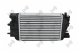 0370180024 Loro Інтеркулер на Opel Meriva