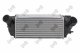 0170180016 Abakus Інтеркулер для Ford EcoSport