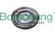 b10919 Borsehung Маховик