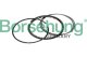 b10367 Borsehung Комплект поршневых колец