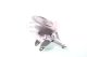 gh364712v GH-Parts Комплект (опора + підшипник)