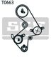VKMC 91003 SKF Комплект ременя ГРМ + помпа