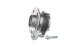 vkba7205 SKF Комплект ступицы колеса
