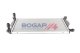 Радиатор охлаждения двигателя Bogap a4210260