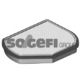 CFA8877 FRAM Фильтр салона