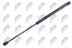 aect013 NTY Газовый упор багажника на Citroen C2