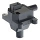 689c0077 RIDEX Катушка зажигания