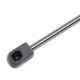 219g0718 RIDEX Газовий упор багажника для MINI Clubman
