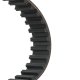 306t0019 RIDEX Ремінь ГРМ