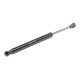 219g0893 RIDEX Газовый упор багажника для BMW 6 Series
