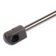 219g0122 RIDEX Газовый упор багажника
