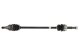 PNG75042 POINT GEAR Піввісь