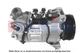 851894N Aks Dasis Компрессор кондиционера