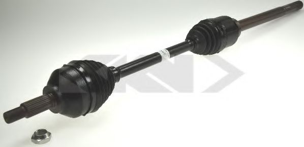 25633 Spidan Полуось