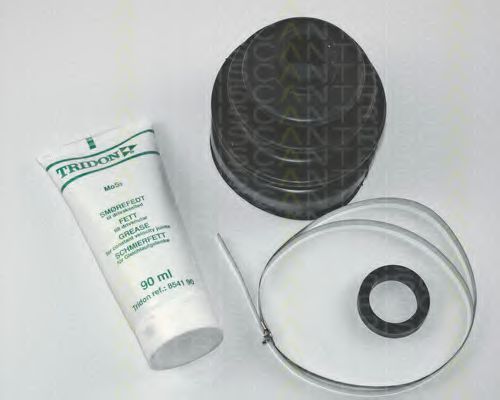8540 38803 Triscan Пильовик гранати