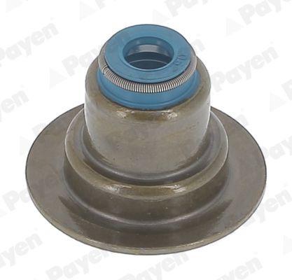 hr5152 Payen Комплект сальників клапанів