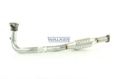 21791 Walker Каталізатор