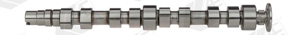 CAM925 AE Распредвал