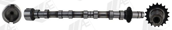 cam1031 AE Распредвал