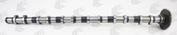 cam1021 AE Розподільний вал