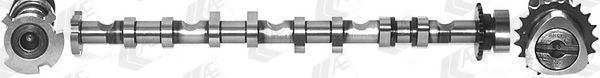 cam981 AE Распредвал