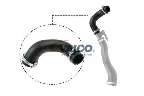 v251026 Vaico Патрубок интеркулера для Ford Fiesta