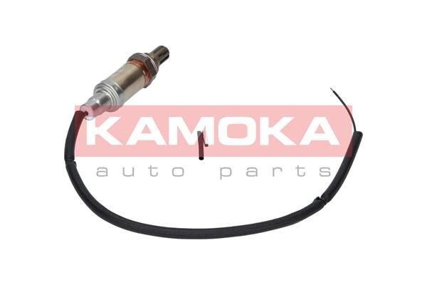 17001 Kamoka Лямбда-зонд