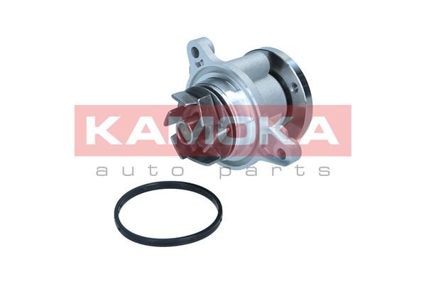 t0310 Kamoka Помпа