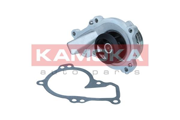 t0295 Kamoka Помпа