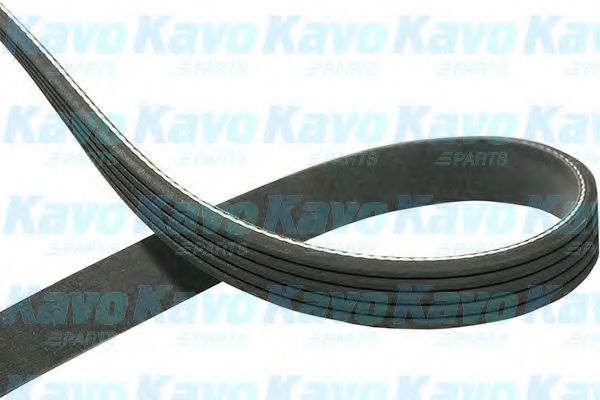 DMV-1031 Kavo Parts Поліклиновий ремінь