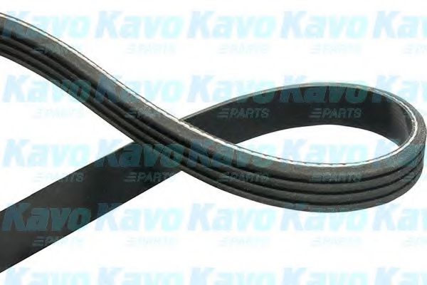 DMV-2020 Kavo Parts Поліклиновий ремінь