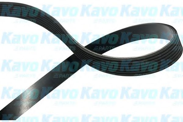 DMV-9100 Kavo Parts Поликлиновой ремень