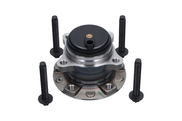 wbk10079 Kavo Parts Ступица колеса