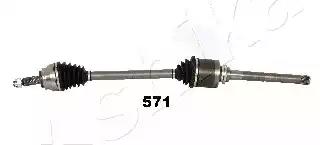 6205571 Ashika Полуось