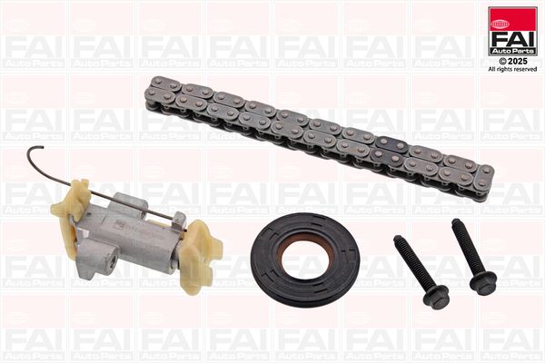 tck487 Fai Комплект ланцюга ГРМ