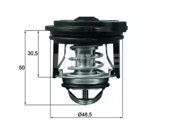 TI 246 50 Mahle Термостат для Ford Fiesta