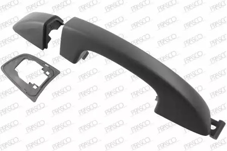 vg1018104 Prasco Ручка дверей