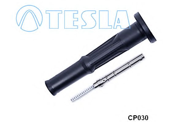 CP030 Tesla Вилка свічки розжарювання
