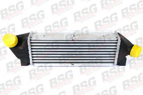 BSG 30-535-001 BSG Інтеркулер