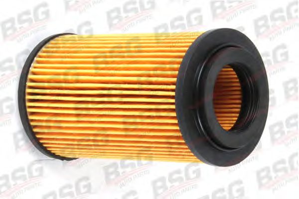BSG 60-130-002 BSG Паливний фільтр