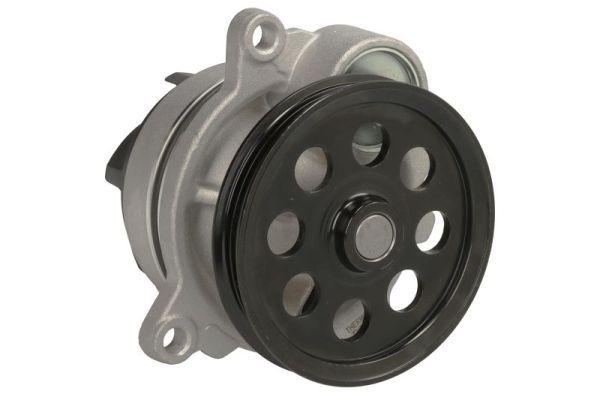 d1g060tt Thermotec Помпа