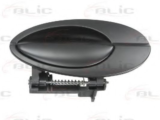 Ручка двери BLIC 6010-21-020404P для Citroen C5