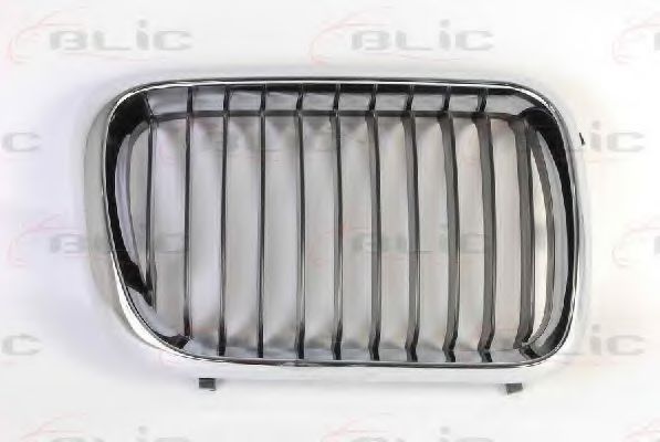 6502-07-0060998P BLIC Решетка радиатора для BMW 3 Series